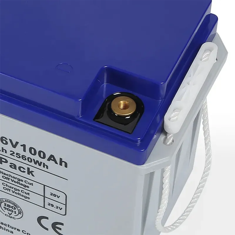 25 6v 100ah Lifepo4 Battery Lfp24100 Maxdear